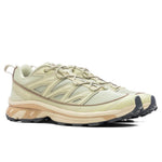 XT-6 Expanse - Alfalfa/Shortbread/Aloe Wash